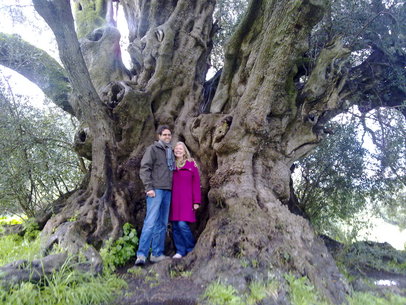 Framför ett ca 1000 år gammalt olivträd på norra Sardinien i april 2009.