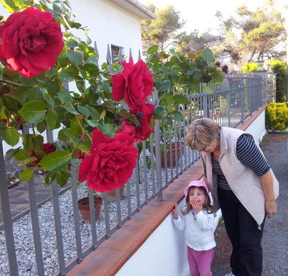 Sofia beundrar grannens fina rosenbuske med mommo och moffa ute på promenad.