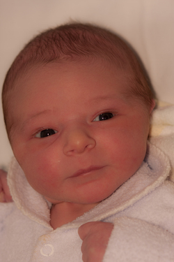Leila föddes 15.4 i Australien. Här fotograferad av sin pappa Fabio.