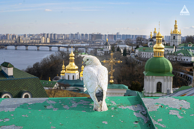 Den här bilden togs en dag innan invasionen började och föreställer Kievs centrum.
