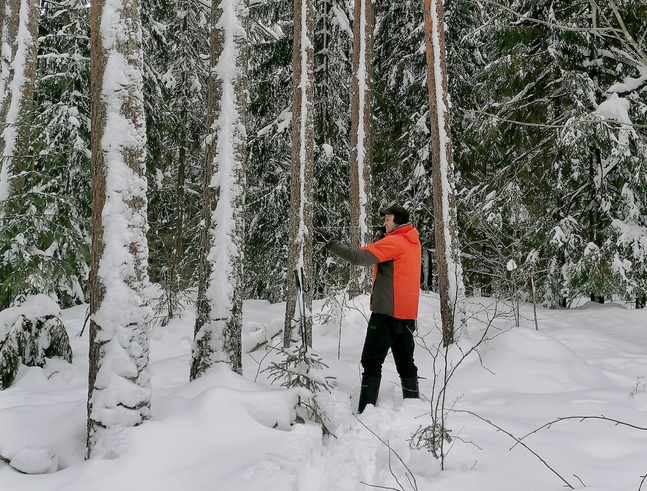 Skogsvårdsinstruktör Thomas Jåfs mäter upp Malaxskogen.
